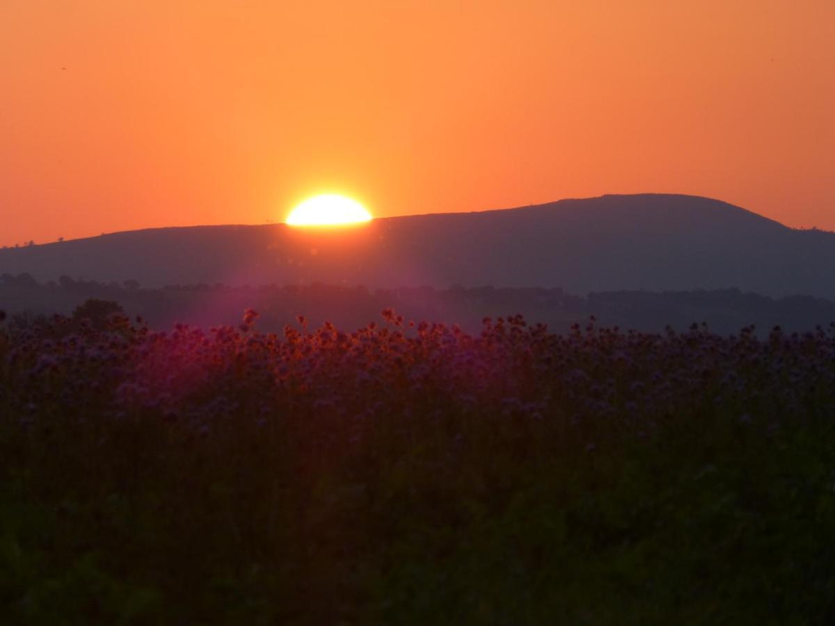 Gite De Caractere Loperec ภายนอก รูปภาพ